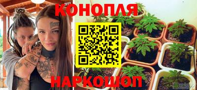 трава Славгород