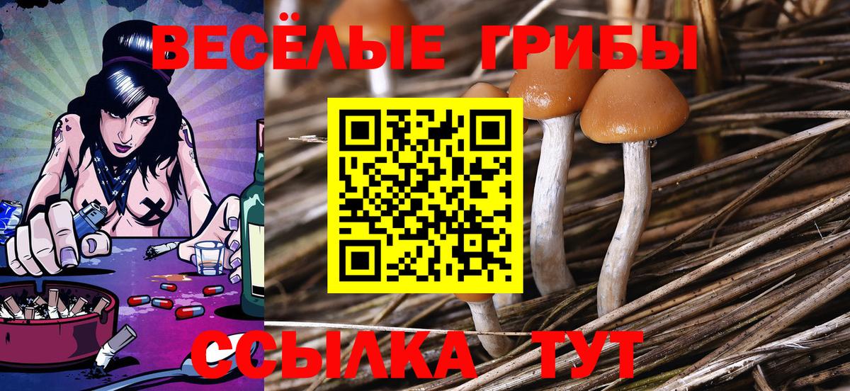 цена наркотик  Вход с VPN  Галлюциногенные грибы мицелий  Новый Уренгой  Псилоцибиновые грибы мицелий 